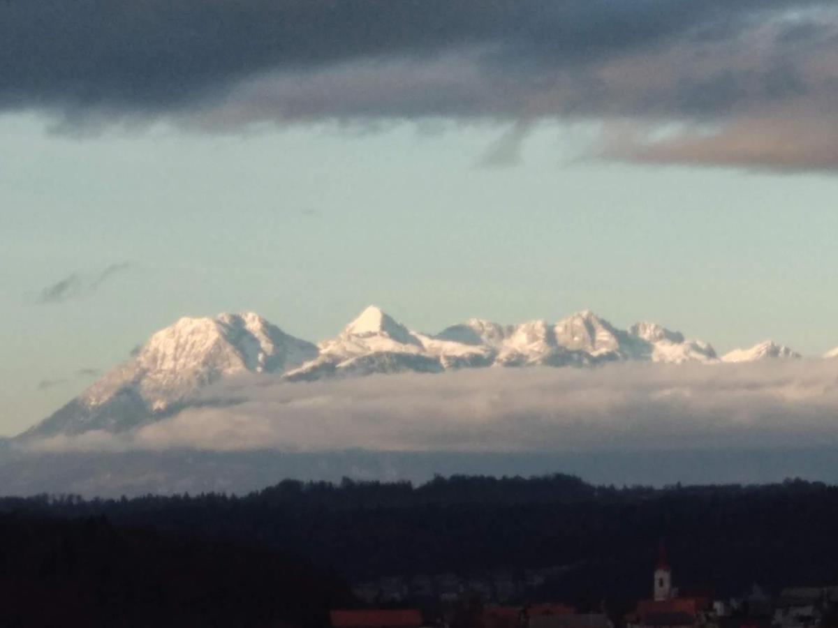 Apartmaji Lejardin Apartment Skofljica Bagian luar foto